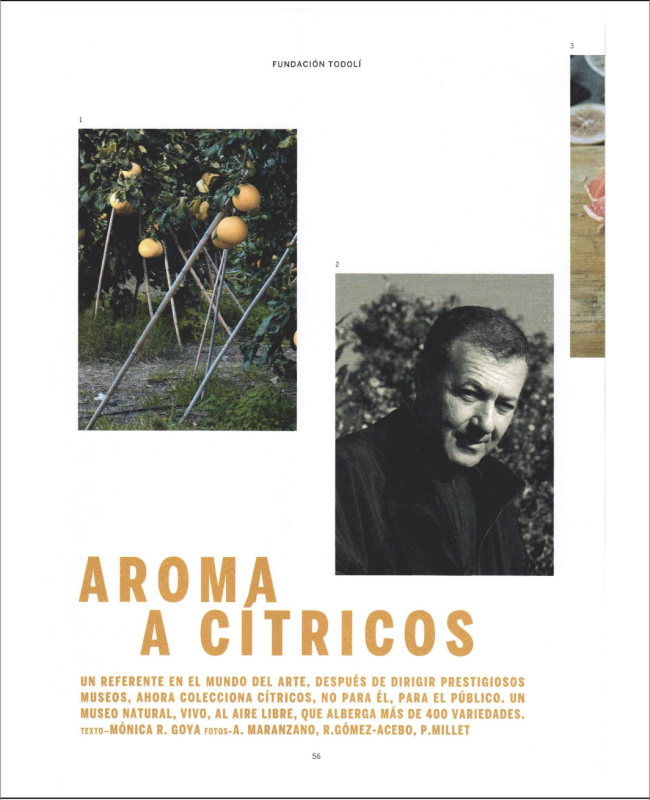 Screenshot 2024-12-09 at 16.53.34