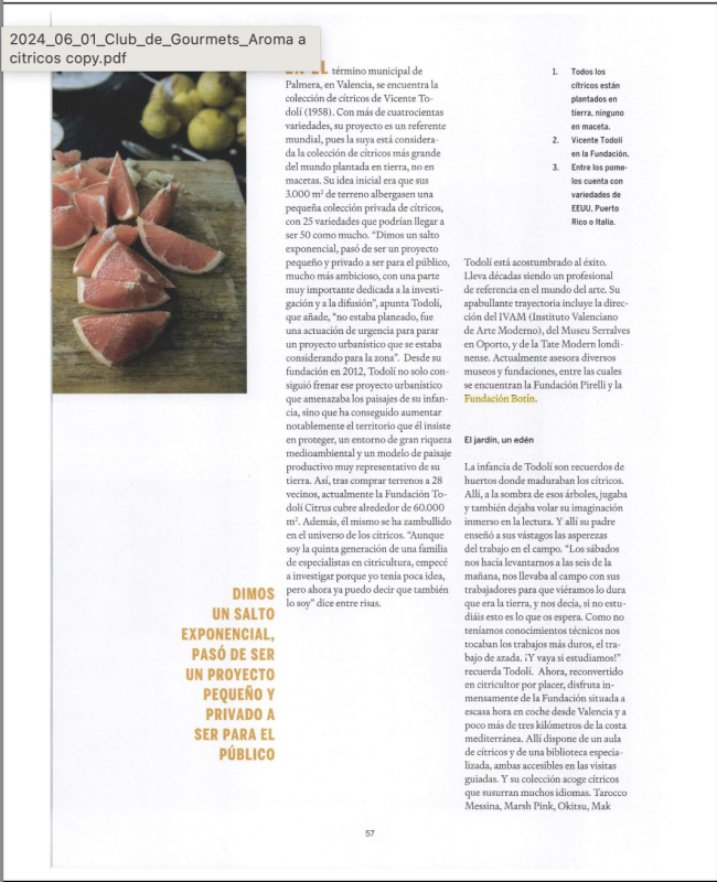 Screenshot 2024-12-09 at 16.53.48