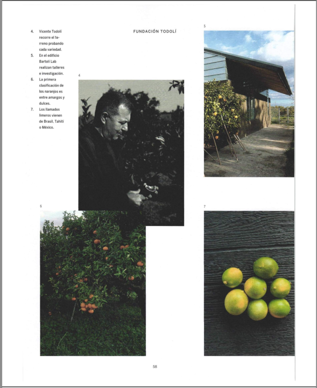 Screenshot 2024-12-09 at 16.54.00