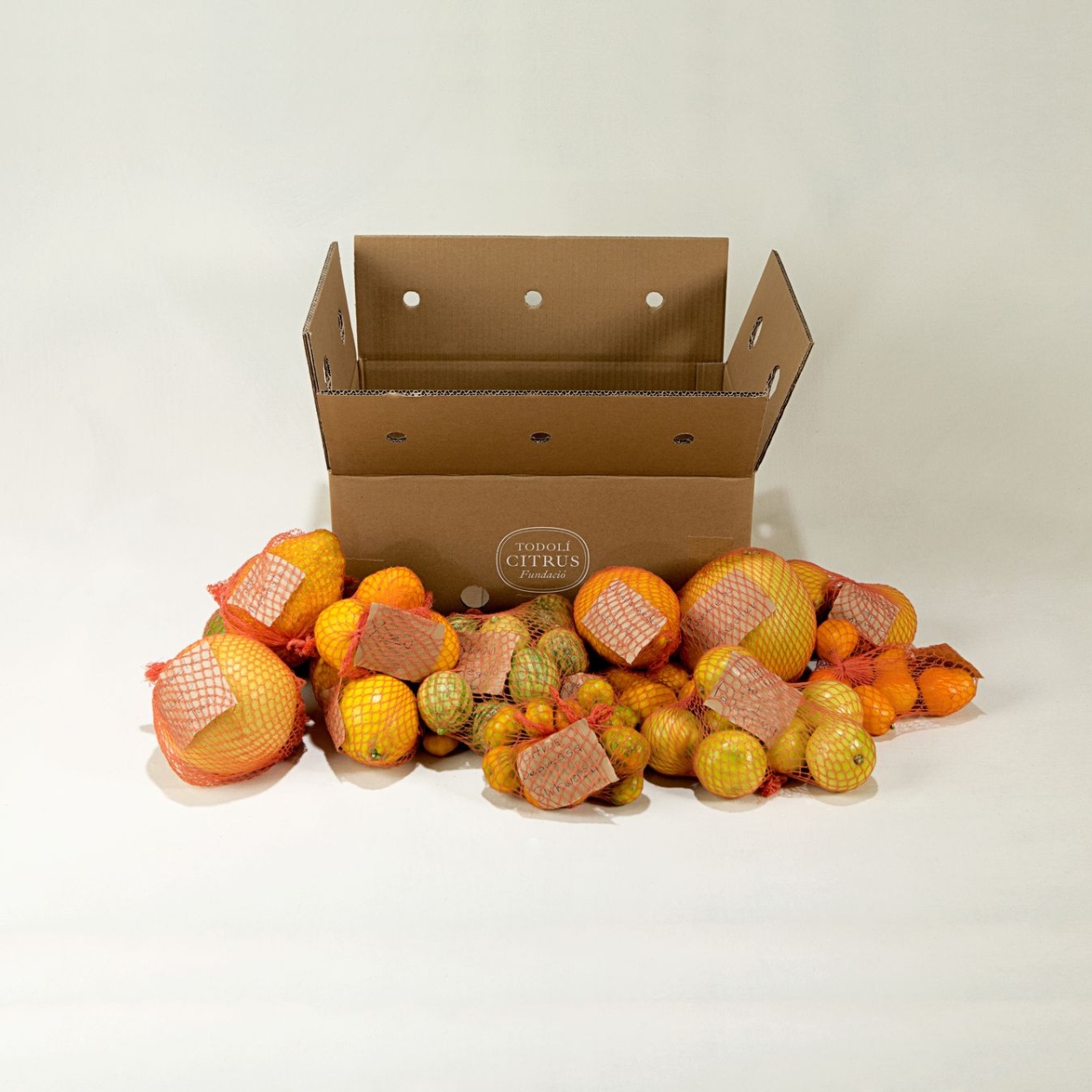 Caja fruta fresca variada 10 kg
