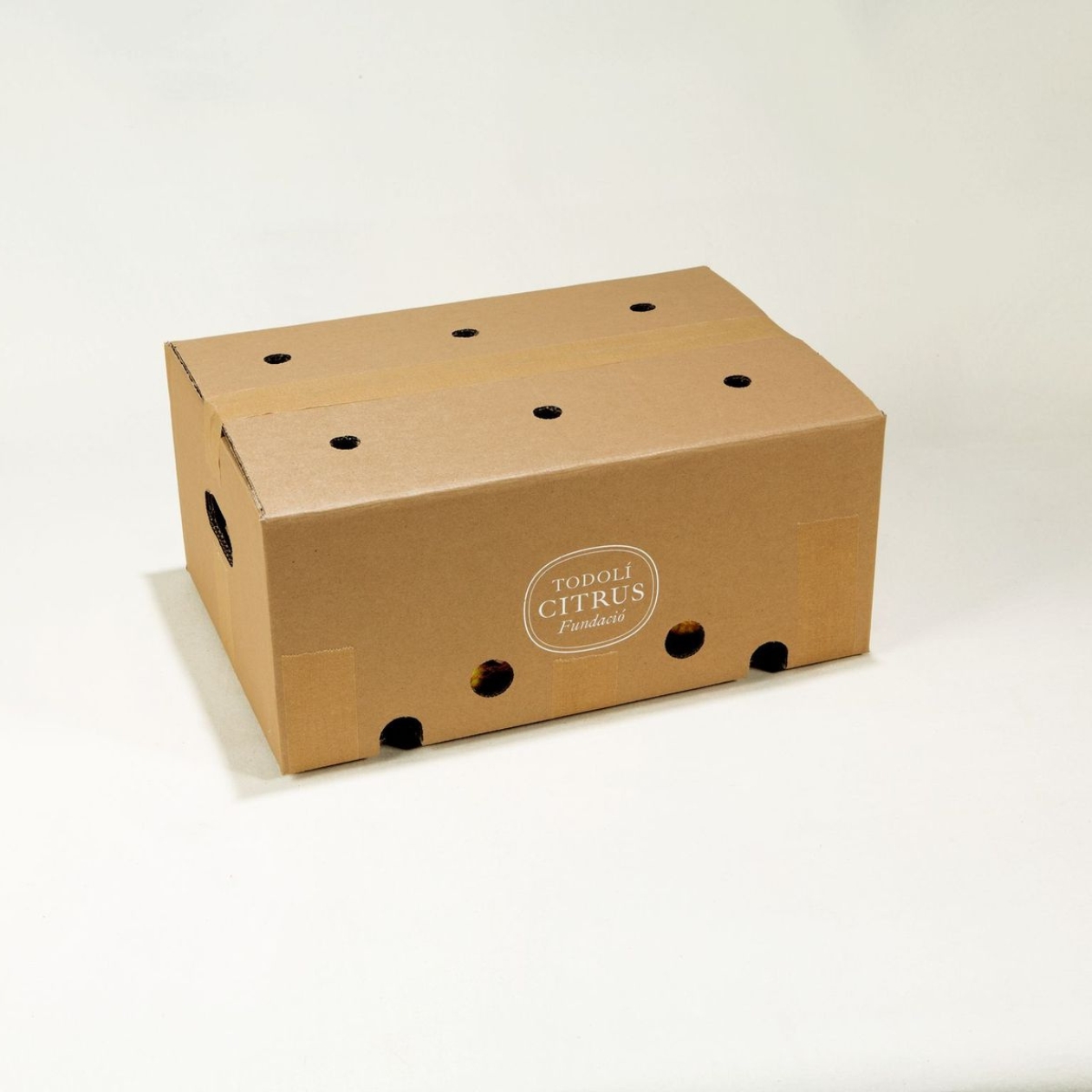 Caja fruta fresca variada 10 kg - Imagen 3