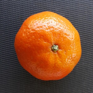 Tangelo Clemenvilla - Nova