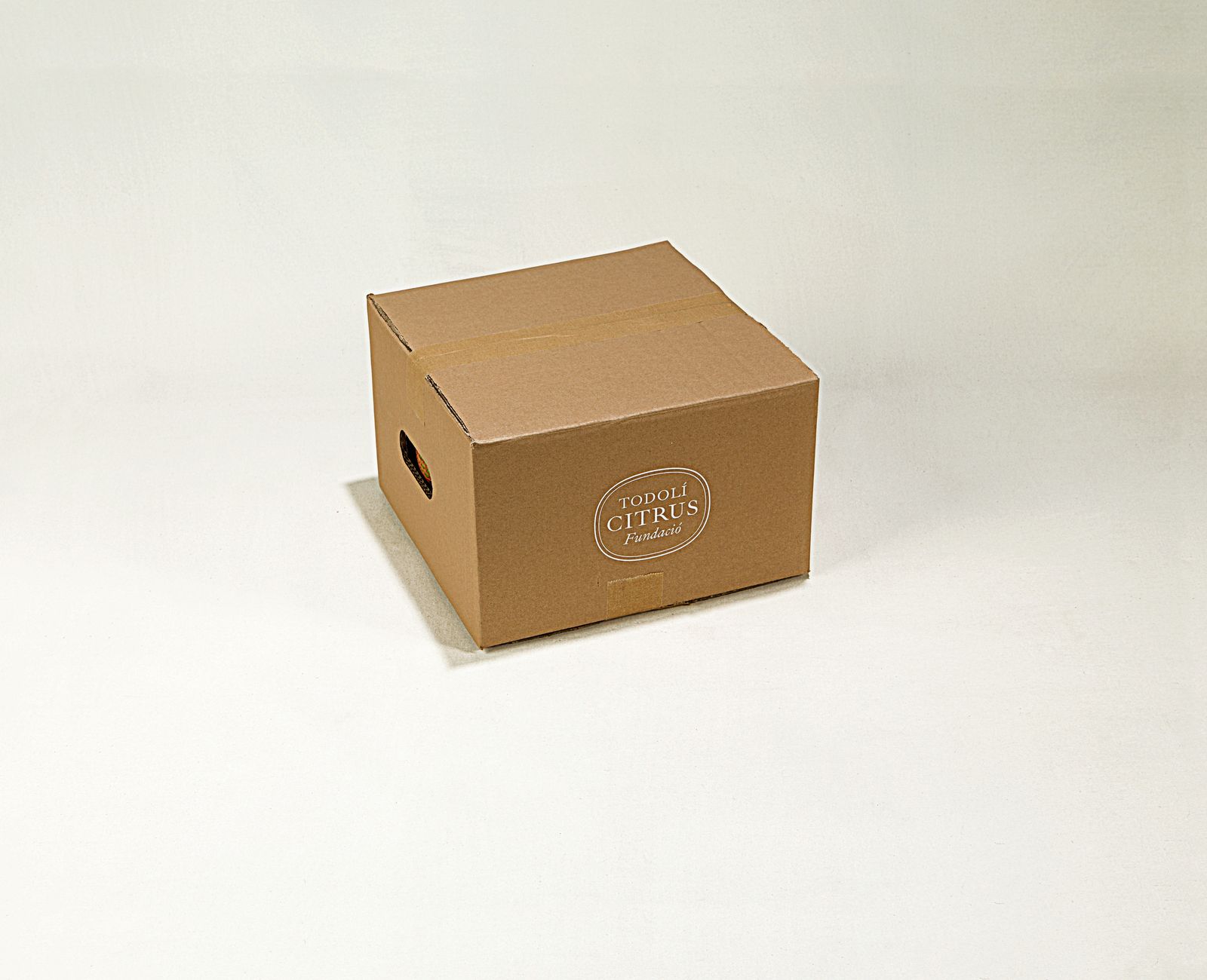 Caja fruta fresca variada 5 kg - Imagen 3