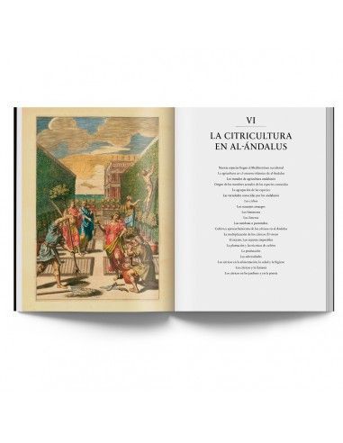 Los cítricos. Un viaje a través de la historia y del arte - Imagen 6