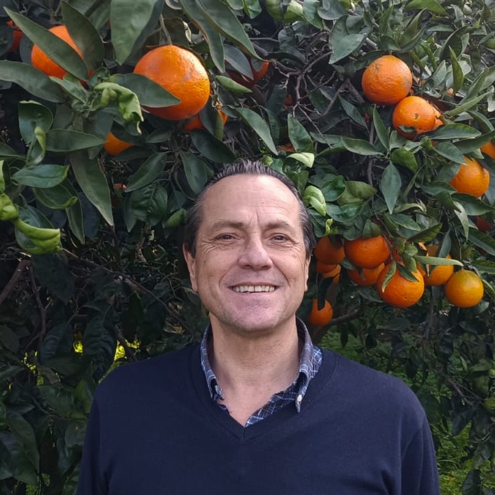 Ferran Todoli_Patronato