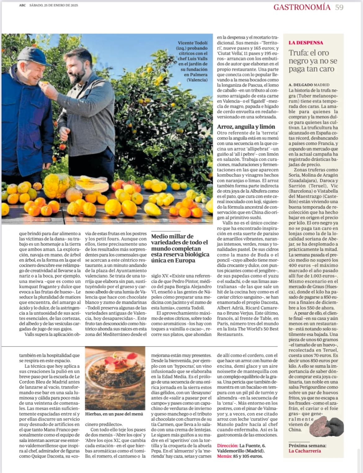 WhatsApp Image 2025-01-25 at 15.05.50 (1)