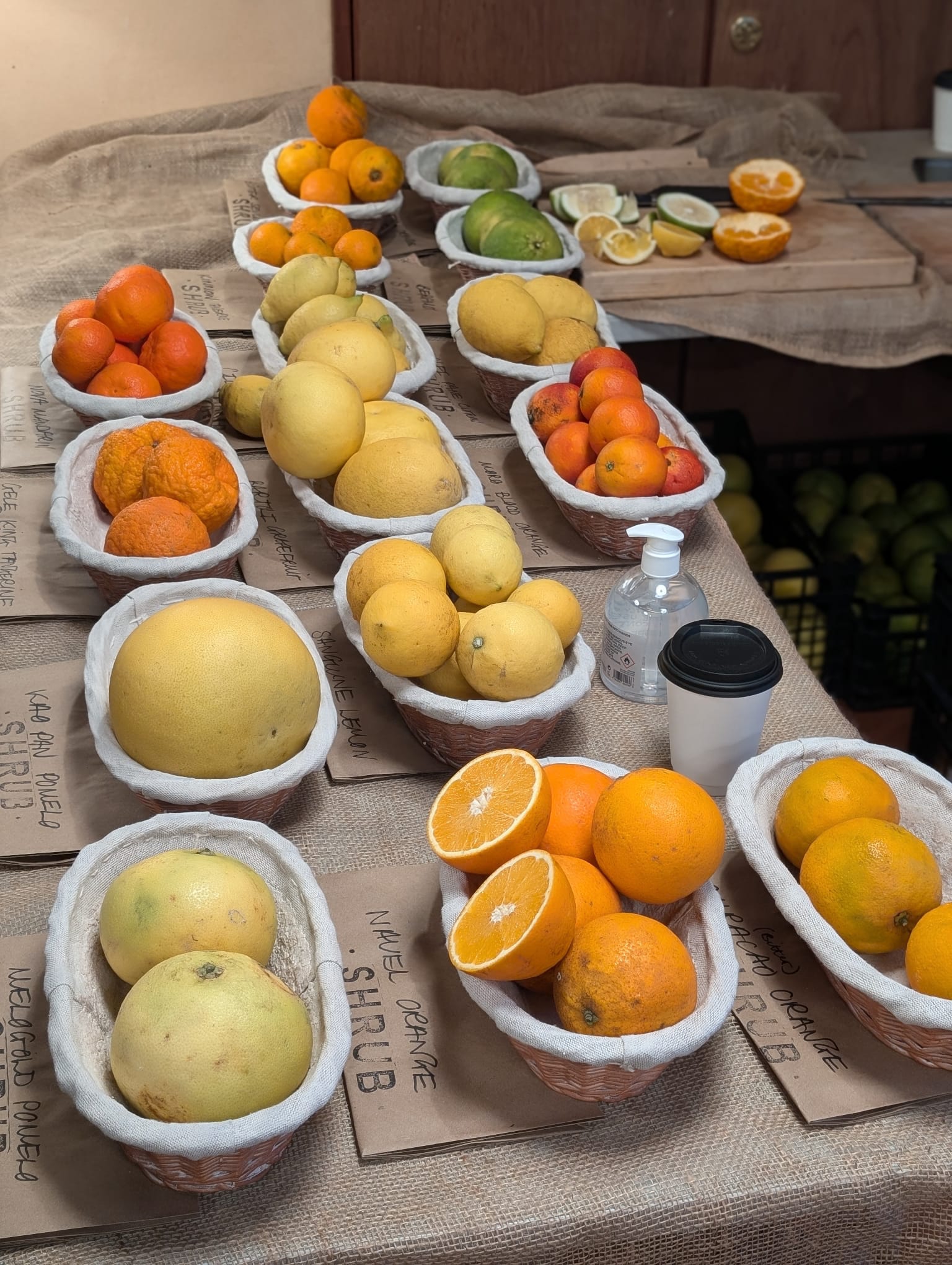 Citrus Market 2025 ©Clerkenwell Boy_5