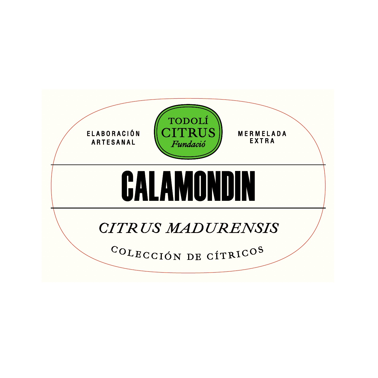 Calamondin_marmalade - Image 2