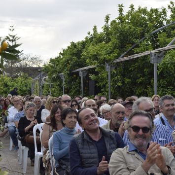 Poecitrics_Todoli Citrus