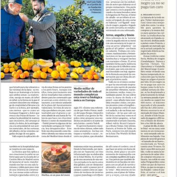 2025_01_25_ABC_El Vergel de cítricos (1)