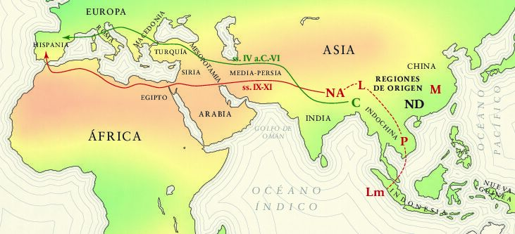 Investigación en Fundació Todli Citrus