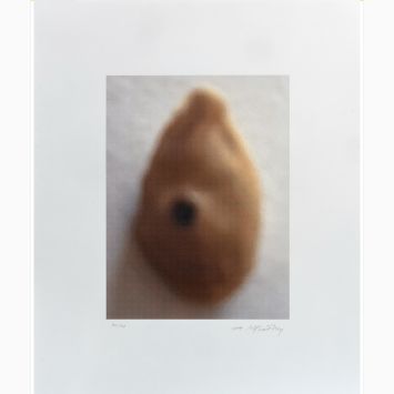 Balka_Citrus Project