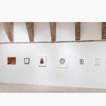 Citrus Project_Galeria Continua