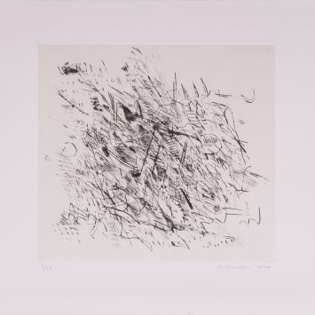 Julie Mehretu_Citrus Project
