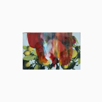 Tacita Dean_Citrus Project